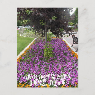 Julia Davis Park in Boise, Idaho Postkarte
