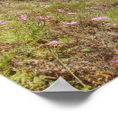 Julia Pfeiffer Burns Staat Park Print Poster (Ecke)