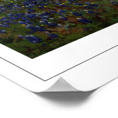 Julian Onderdonk Zedign Art Poster #28 (Ecke)