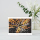 Julie de Graag Postcard Postkarte (Stehend Vorderseite)