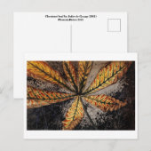 Julie de Graag Postcard Postkarte (Vorne/Hinten)