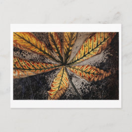 Julie de Graag Postcard Postkarte