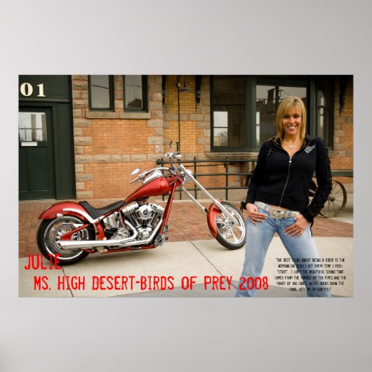 Julie, Frau High Desert-BIrds of Prey 2008 Poster (Vorne)