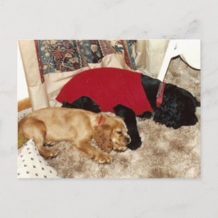 Julie's Journal - ein weiteres Kapitel endet Postkarte