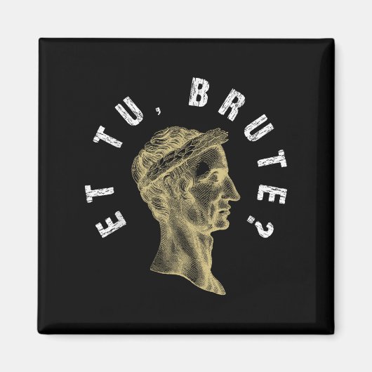 Julius Caesar Et Tu Brute Spqr Roman Empire Funny Magnet (Vorne)