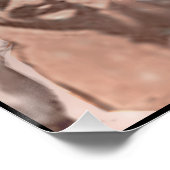 Julius Caesar Poster (Ecke)