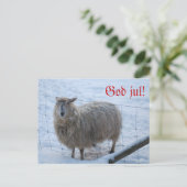 Julkort - Fåret Fjun Postkarte (Stehend Vorderseite)