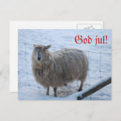 Julkort - Fåret Fjun Postkarte (Vorne/Hinten)