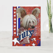 July 4th Firecracker - Chinese Crested Karte (Vorderseite)