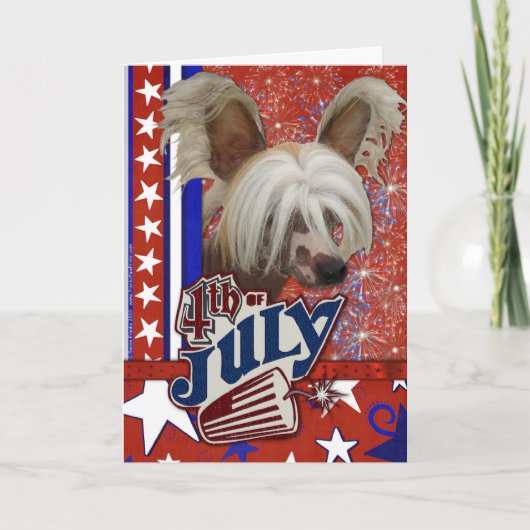 July 4th Firecracker - Chinese Crested Karte (Vorderseite)