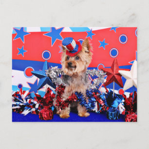 July 4th - Yorkie - Vinnie Postkarte