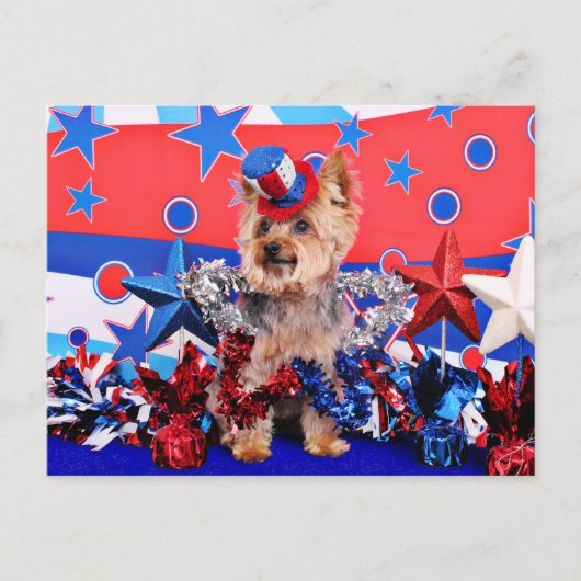 July 4th - Yorkie - Vinnie Postkarte (Vorderseite)