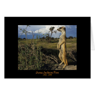 Juma - Legenden-Karten