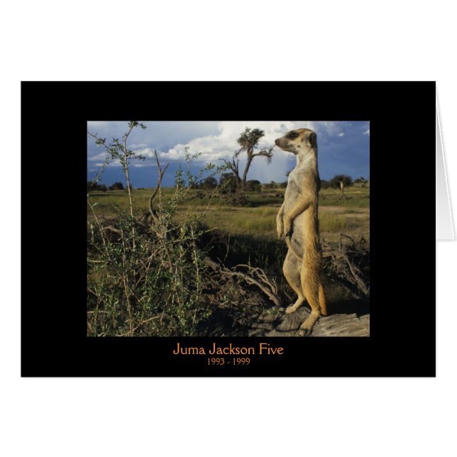 Juma - Legenden-Karten (Vorderseite (Horizontal))