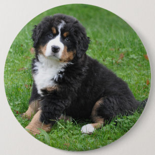 Jumbo Foto Haustier Button, Liebe deinen Hund! Button