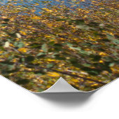 Jumbo Reservoir Poster (Ecke)