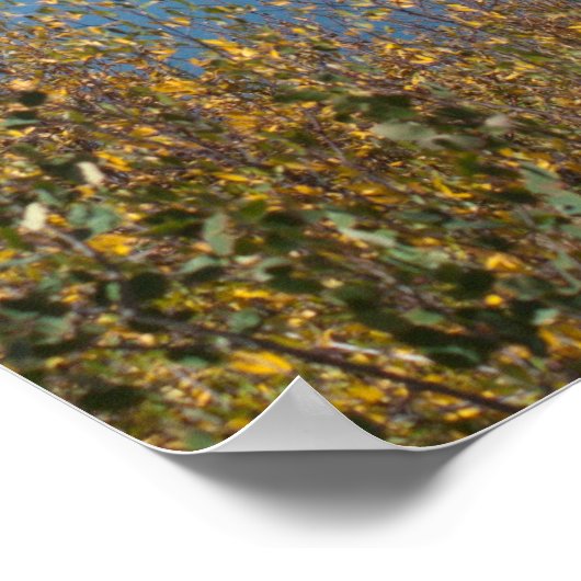 Jumbo Reservoir Poster (Ecke)