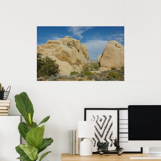 Jumbo Rocks im Joshua-Tree-Nationalpark Poster (Heimbüro)