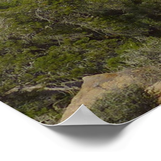 Jumbo Rocks im Joshua-Tree-Nationalpark Poster (Ecke)