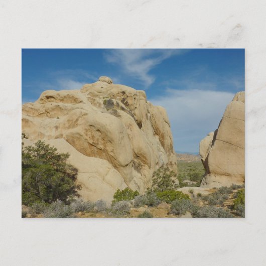 Jumbo Rocks im Joshua-Tree-Nationalpark Postkarte (Vorderseite)