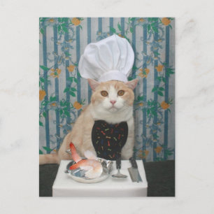 Jumbo Shrimpies! Postkarte