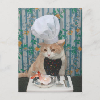 Jumbo Shrimpies! Postkarte
