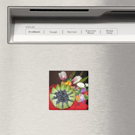 JUMM! MAGNET (In Situ (Geschirrspüler))