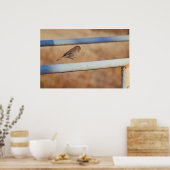 Jump Poster (Küche)