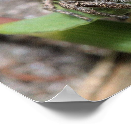 Jumper Poster (Ecke)