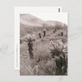 Jumping Cholla Cactus Desert B&W Foto Postkarten (Vorne/Hinten)