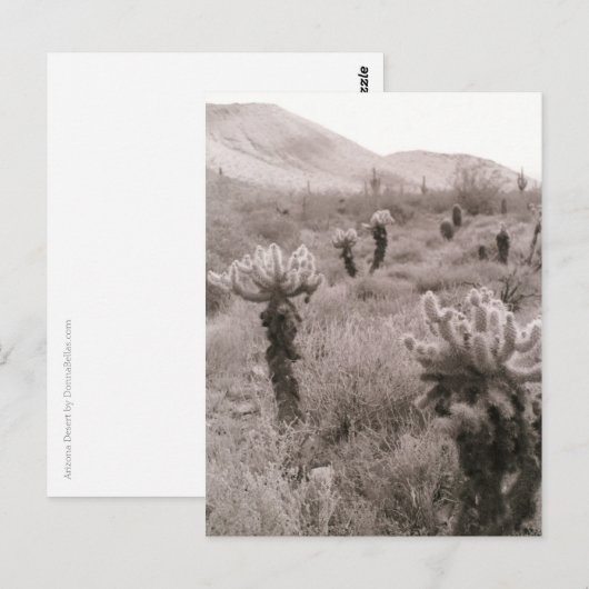 Jumping Cholla Cactus Desert B&W Foto Postkarten (Vorne/Hinten)