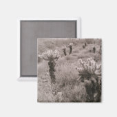 Jumping Cholla Cactus Desert Kühlschrank Magnet (Vorderseite/Rückseite)