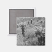 Jumping Cholla Cactus Desert Kühlschrank Magnete Magnet (Vorderseite/Rückseite)