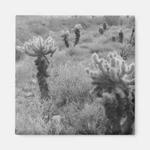 Jumping Cholla Cactus Desert Kühlschrank Magnete Magnet