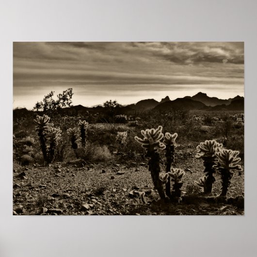 Jumping Cholla Cactus Poster (Vorne)