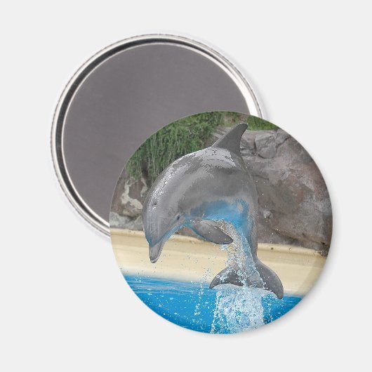 Jumping Dolphin Magnet (Vorderseite/Rückseite)