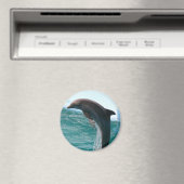 Jumping Dolphin Magnet (In Situ (Geschirrspüler))