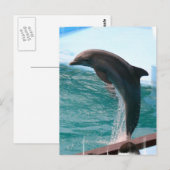 Jumping Dolphin Postcard Postkarte (Vorne/Hinten)