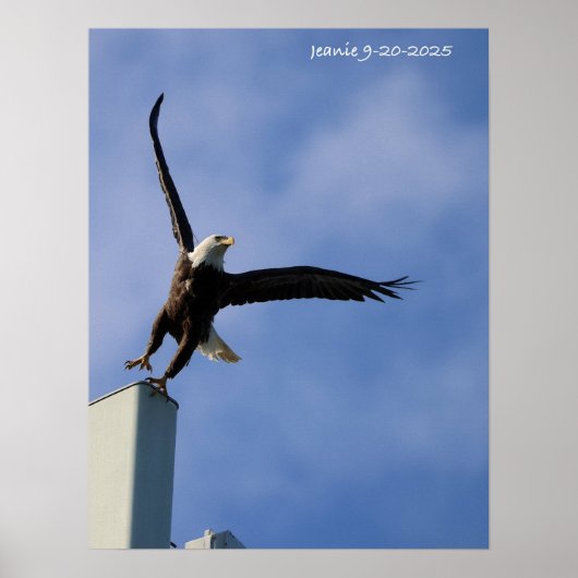 Jumping Eagle Poster (Vorne)