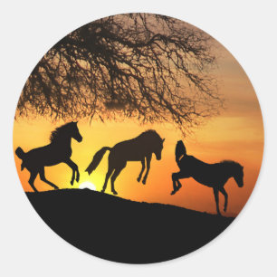 Jumping for Joy Niedlich Horse Stickers