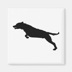 Jumping Hund Silhouette Magnet