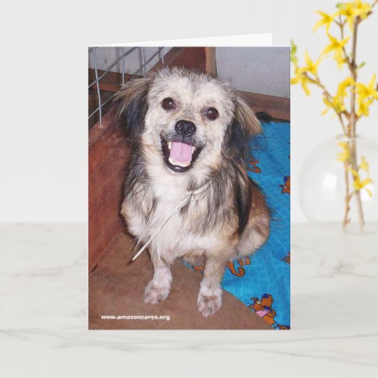 Jumping Jack Flash Grußkarte Karte (Gelbe Blume)