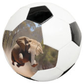 "Jumping Joy: The Animated Elephants' Leap" Fußball (Dreiviertel)