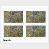 Jumping Junipers Rechteckiger Aufkleber (Blatt)