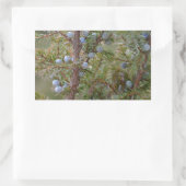 Jumping Junipers Rechteckiger Aufkleber (Tasche)