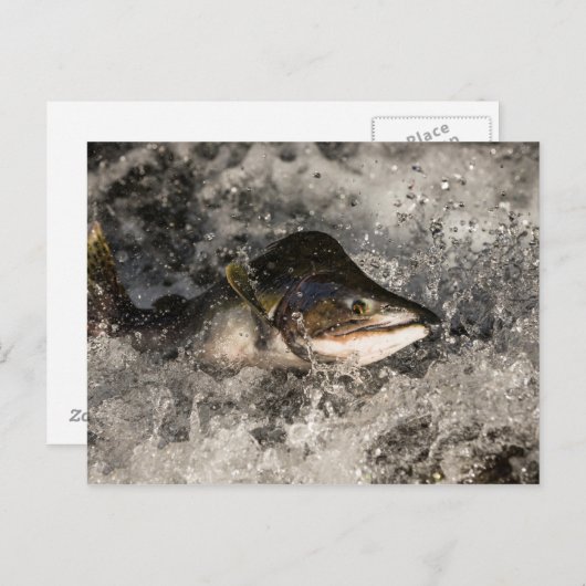 Jumping Lmon Postkarte (Vorne/Hinten)