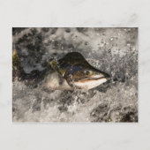 Jumping Lmon Postkarte (Vorderseite)