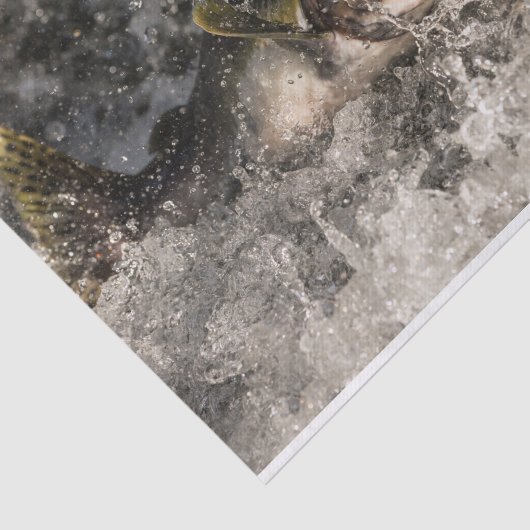 Jumping Lmon Seidenpapier (Ausschnitt)