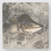 Jumping Lmon Steinuntersetzer (Vorderseite)