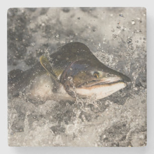 Jumping Lmon Steinuntersetzer